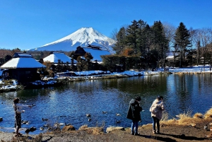 Mount Fuji & Hakone Full-Day Private Tour (Customizable)