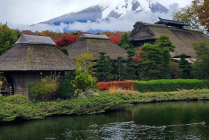 Mount Fuji & Hakone Full-Day Private Tour (Customizable)