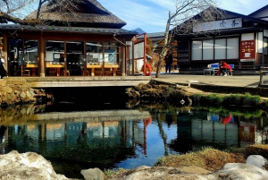 Mount Fuji & Hakone Full-Day Private Tour (Customizable)