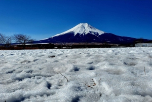 Mount Fuji & Hakone Full-Day Private Tour (Customizable)