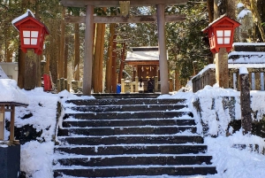 Mount Fuji & Hakone Full-Day Private Tour (Customizable)