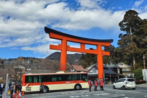 Mount Fuji & Hakone Full-Day Private Tour (Customizable)