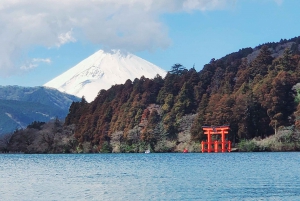 Mount Fuji & Hakone Full-Day Private Tour (Customizable)