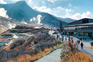 Mount Fuji & Hakone Full-Day Private Tour (Customizable)