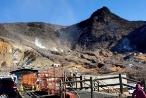 Mount Fuji & Hakone Full-Day Private Tour (Customizable)