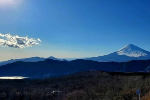 Mount Fuji & Hakone Full-Day Private Tour (Customizable)