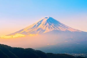 Mt.Fuji, Arakura Sengen Park,Oishino hakkai,Kawaguchico Trip