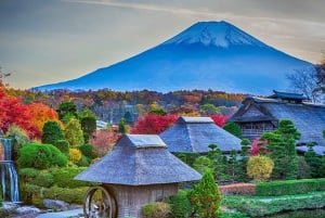 Mt.Fuji, Arakura Sengen Park,Oishino hakkai,Kawaguchico Trip