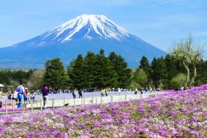 Mt.Fuji, Arakura Sengen Park,Oishino hakkai,Kawaguchico Trip