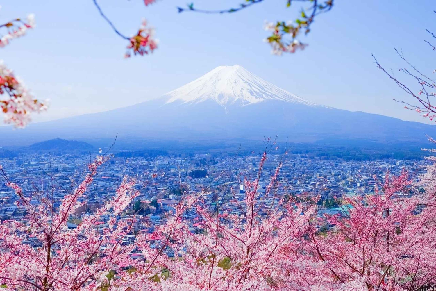 Konstnärlig dagsutflykt till Fuji Kawaguchiko: Konst- och naturmuseum