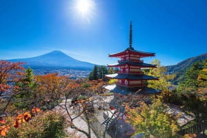 Konstnärlig dagsutflykt till Fuji Kawaguchiko: Konst- och naturmuseum
