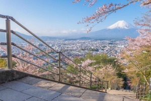 Konstnärlig dagsutflykt till Fuji Kawaguchiko: Konst- och naturmuseum