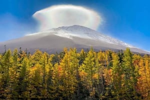 Femte stasjon på Fuji-fjellet, varm kilde og dagsomvisning i Oshino Hakkai