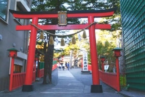 Femte stasjon på Fuji-fjellet, varm kilde og dagsomvisning i Oshino Hakkai