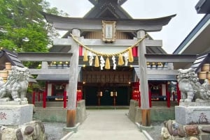 Femte stasjon på Fuji-fjellet, varm kilde og dagsomvisning i Oshino Hakkai