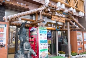 Femte stasjon på Fuji-fjellet, varm kilde og dagsomvisning i Oshino Hakkai