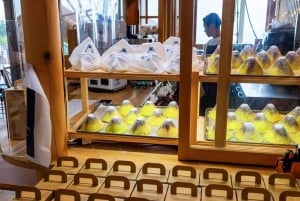 Femte stasjon på Fuji-fjellet, varm kilde og dagsomvisning i Oshino Hakkai