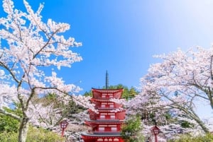 Femte stasjon på Fuji-fjellet, varm kilde og dagsomvisning i Oshino Hakkai