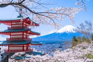 Femte stasjon på Fuji-fjellet, varm kilde og dagsomvisning i Oshino Hakkai