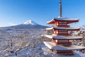 Femte stasjon på Fuji-fjellet, varm kilde og dagsomvisning i Oshino Hakkai