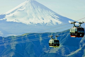 Tokyo: Mt Fuji, Hakone Cruise, Ropeway & Oshino Hakkai Trip