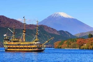 Tokyo: Mt Fuji, Hakone Cruise, Ropeway & Oshino Hakkai Trip