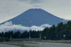 Tokio: prywatna wycieczka na górę Fuji i do Hakone z angielskojęzycznym kierowcą
