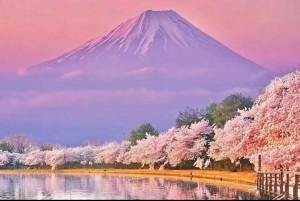 Tokio: prywatna wycieczka na górę Fuji i do Hakone z angielskojęzycznym kierowcą