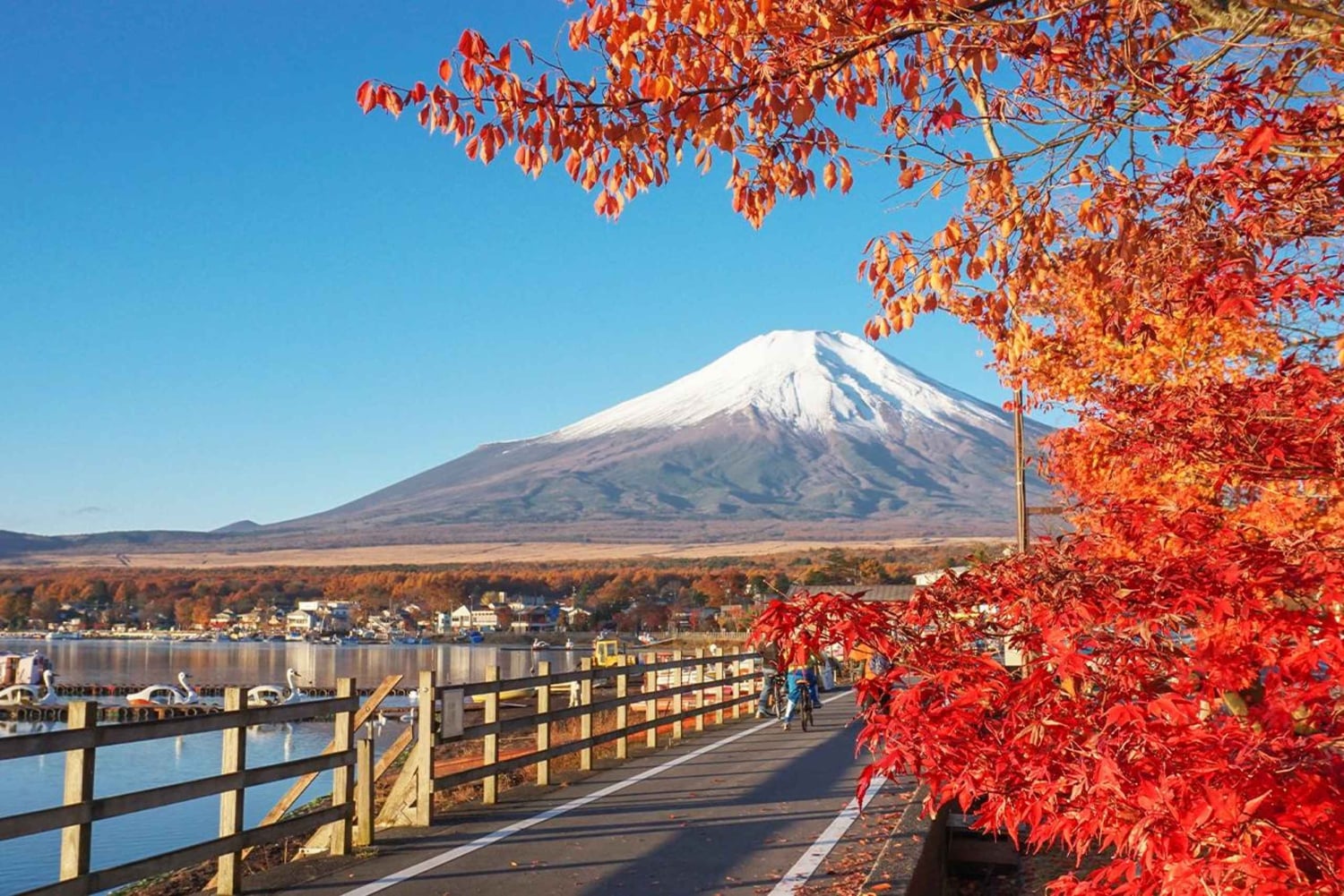 Tour del Monte Fuji, Hakone/Enoshima: funivia opzionale/barca sul lago Ashi