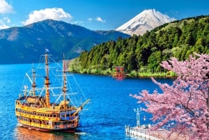 Tour del Monte Fuji, Hakone/Enoshima: funivia opzionale/barca sul lago Ashi
