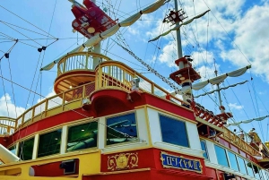 Tour del Monte Fuji, Hakone/Enoshima: funivia opzionale/barca sul lago Ashi