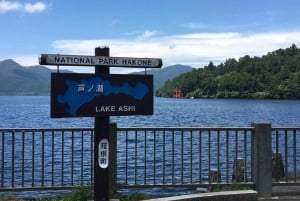 Tour del Monte Fuji, Hakone/Enoshima: funivia opzionale/barca sul lago Ashi