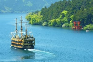 Tour del Monte Fuji, Hakone/Enoshima: funivia opzionale/barca sul lago Ashi