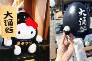 Tour del Monte Fuji, Hakone/Enoshima: funivia opzionale/barca sul lago Ashi