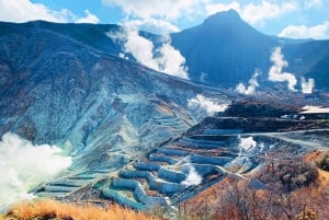 Tour del Monte Fuji, Hakone/Enoshima: funivia opzionale/barca sul lago Ashi