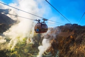 Tour del Monte Fuji, Hakone/Enoshima: funivia opzionale/barca sul lago Ashi