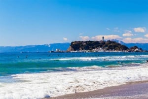 Tour del Monte Fuji, Hakone/Enoshima: funivia opzionale/barca sul lago Ashi