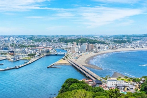 Tour del Monte Fuji, Hakone/Enoshima: funivia opzionale/barca sul lago Ashi
