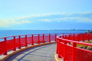 Tour del Monte Fuji, Hakone/Enoshima: funivia opzionale/barca sul lago Ashi