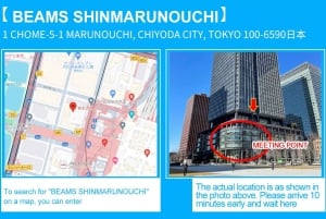 Tour del Monte Fuji, Hakone/Enoshima: funivia opzionale/barca sul lago Ashi