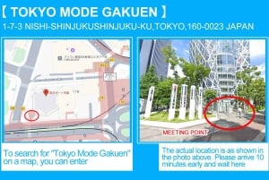 Tour del Monte Fuji, Hakone/Enoshima: funivia opzionale/barca sul lago Ashi