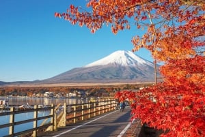 Fuji-vuori Hakone/Kamakura-kierros: ILMAINEN köysirata ja Ashi-järven risteily