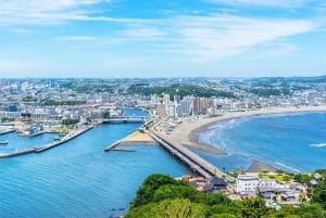 Fuji-vuori Hakone/Kamakura-kierros: ILMAINEN köysirata ja Ashi-järven risteily