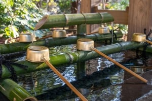 Fuji-vuori Hakone/Kamakura-kierros: ILMAINEN köysirata ja Ashi-järven risteily