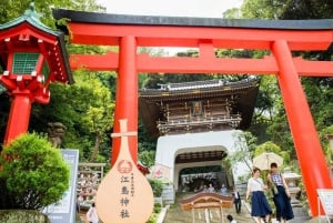 Fuji-vuori Hakone/Kamakura-kierros: ILMAINEN köysirata ja Ashi-järven risteily