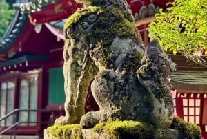 Fuji-vuori Hakone/Kamakura-kierros: ILMAINEN köysirata ja Ashi-järven risteily