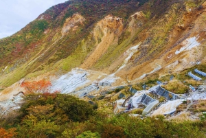 Naturskjønn dagsomvisning til Fuji-fjellet, Hakone og Kawaguchiko fra Tokyo