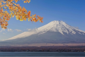 Naturskjønn dagsomvisning til Fuji-fjellet, Hakone og Kawaguchiko fra Tokyo