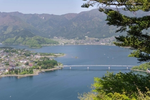 Naturskjønn dagsomvisning til Fuji-fjellet, Hakone og Kawaguchiko fra Tokyo