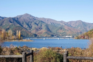 Naturskjønn dagsomvisning til Fuji-fjellet, Hakone og Kawaguchiko fra Tokyo